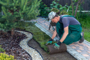 How to Choose the Best Landscaping Services in Sydney
